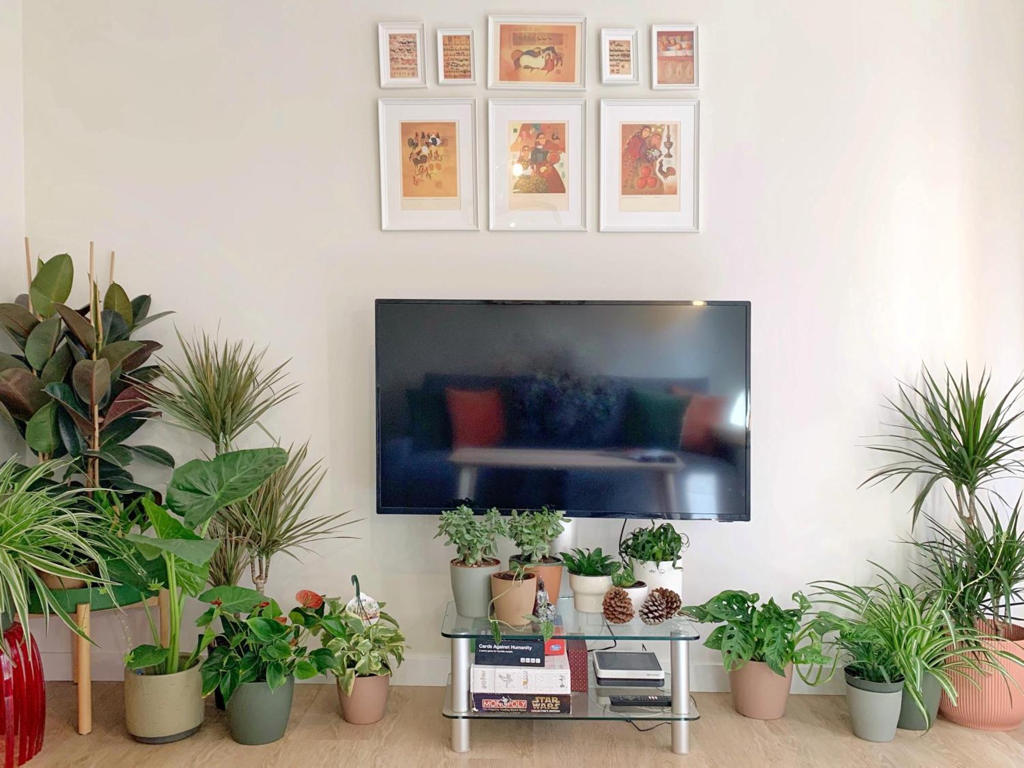 Appartement Charming Flat In Bermeo'S Old Town- Nardiz Extérieur photo